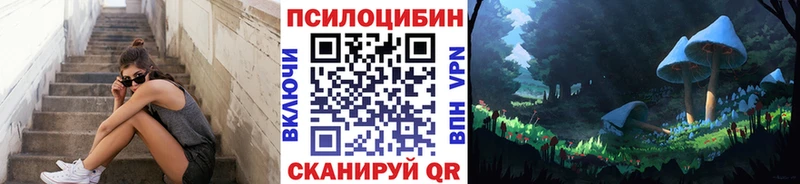 Псилоцибиновые грибы GOLDEN TEACHER  наркотики  Черногорск 