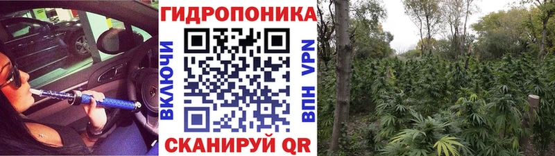Бошки марихуана Amnesia  Черногорск 